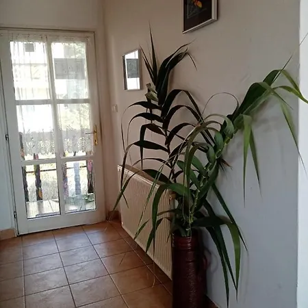 Pensión Kéktúrás-tóra Nyíló Badacsonyi Privát Bérlemény Badacsonytomaj